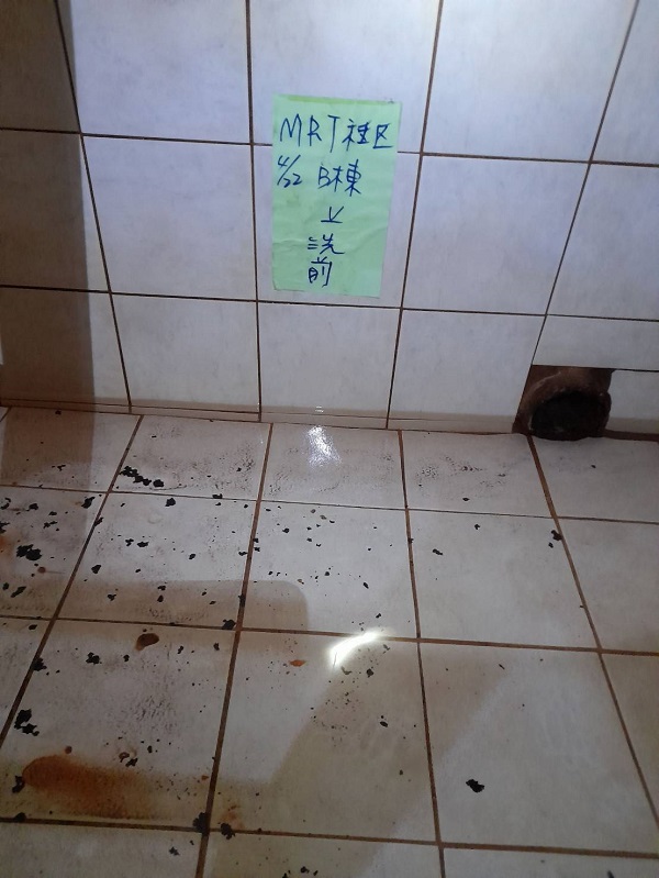 ���M���Ϭ~����