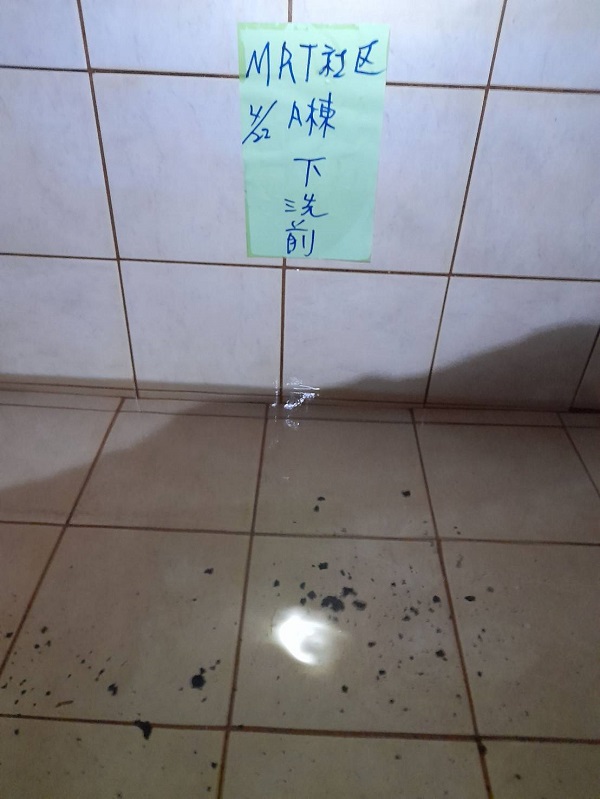 ���M���Ϭ~����