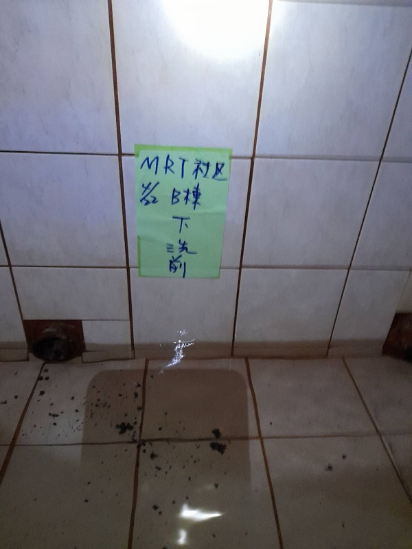 ���M���Ϭ~����