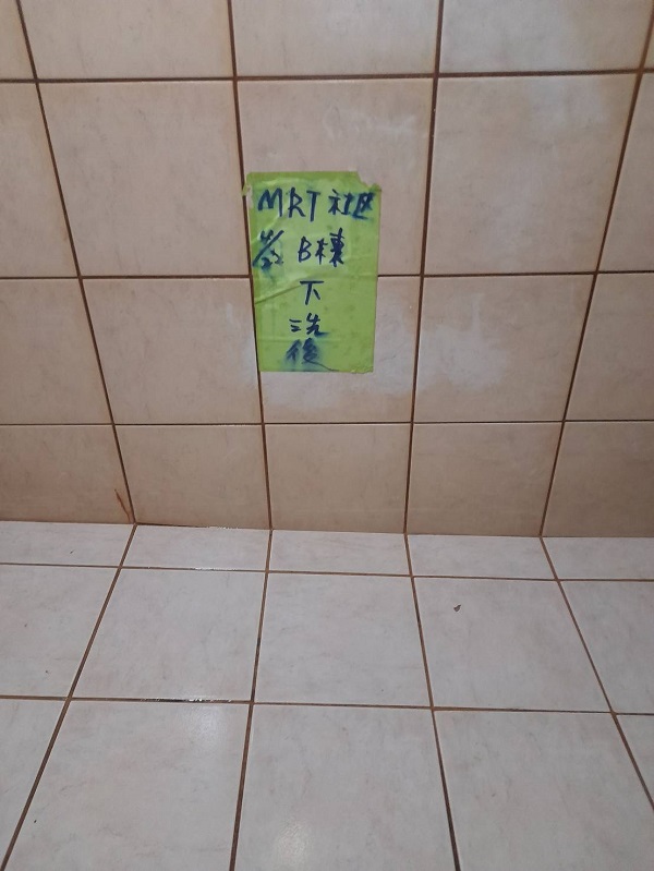 ���M���Ϭ~����