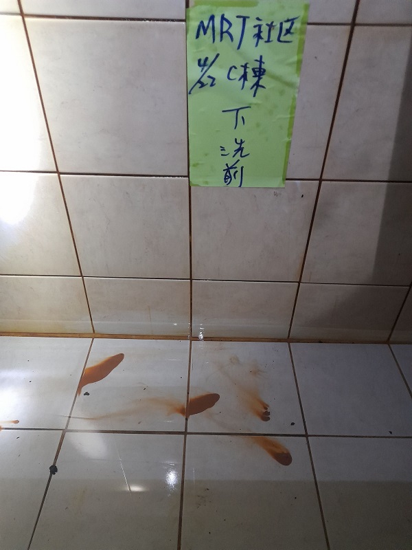 ���M���Ϭ~����