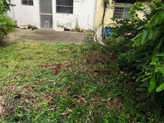 ���j��ϳί�