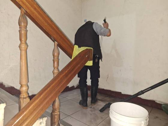 ����t�s�M��