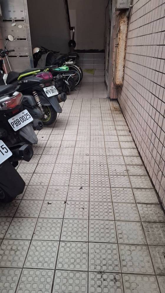 ����t�s�M��