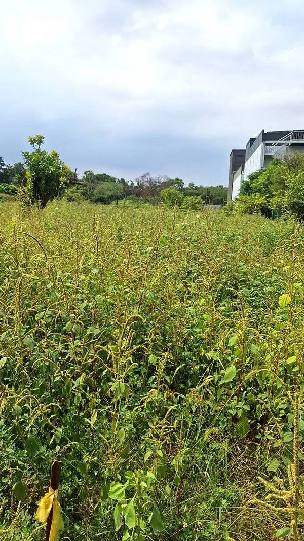 ��鷨���ϳί�