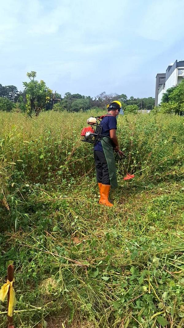 ��鷨���ϳί�