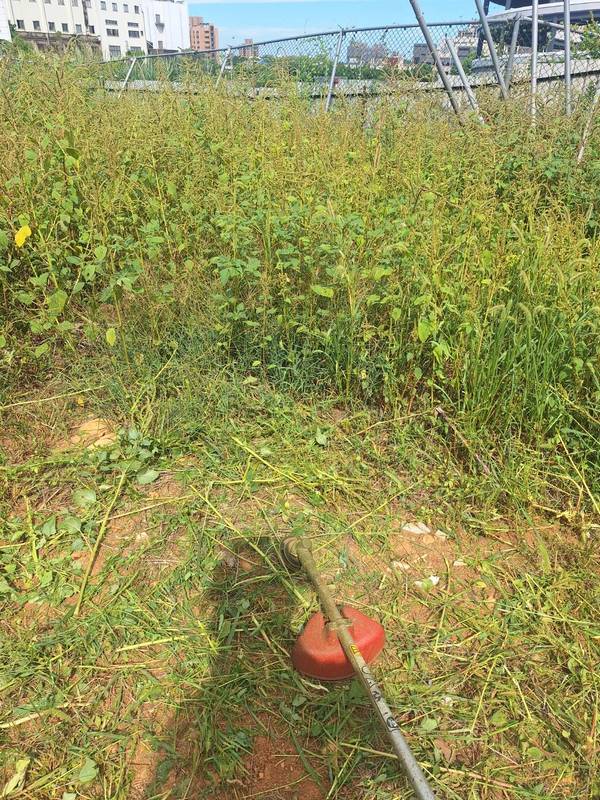 ��鷨���ϳί�