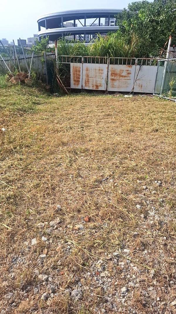 ��鷨���ϳί�