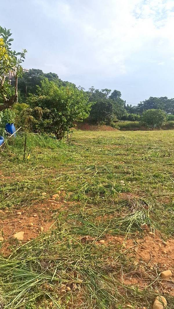 ��鷨���ϳί�